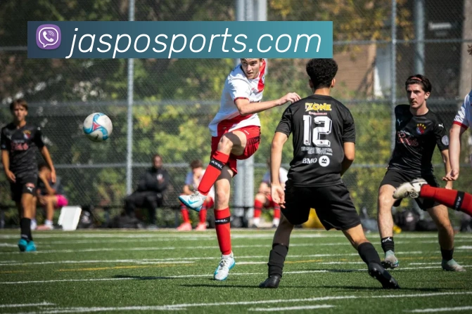 球赛投注APP 封面图